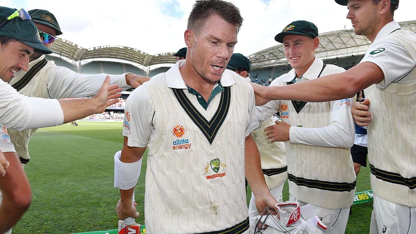 David Warner had a stunning knock in the second Test