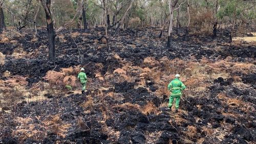 The fire started on March 10 after a lightning strike.