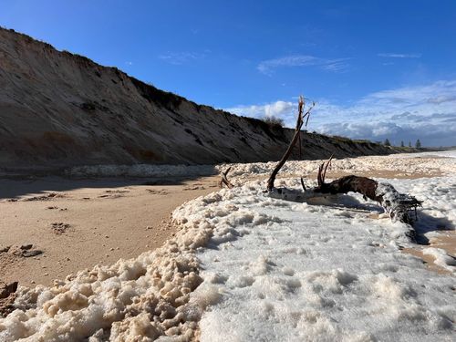 NSW Weather update: central coast beaches debris trees wash up