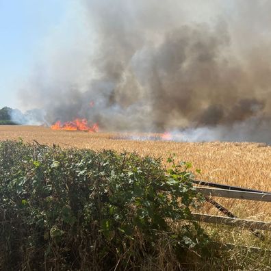 Charles Spencer's wife Karen filmed as firefighters attended Althorp House, after a fire broke out on the estate during the UK's hottest day on record.