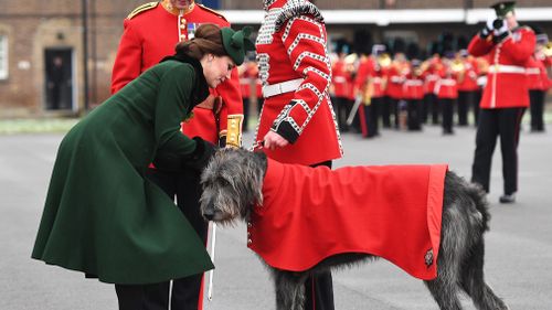 The Duchess of Cambridge presents a shamrock to Irish Guards mascot, Irish Wolfhound Domhnall. (PAA/AAP)