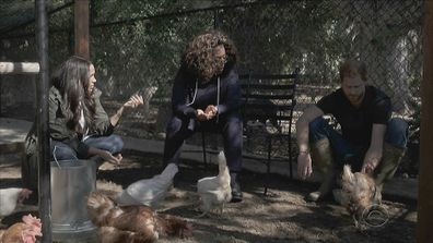 Meghan Harry and Oprah with chickens