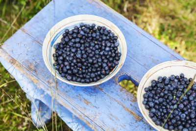<strong>Blueberries</strong>