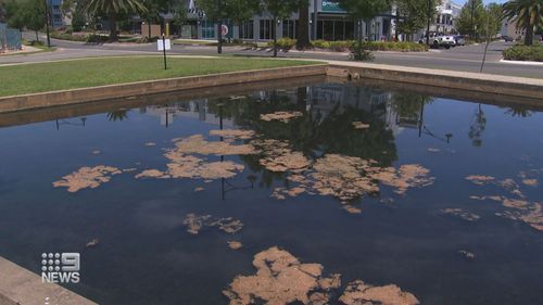 Mawson Lakes emit bad stench, South Australia