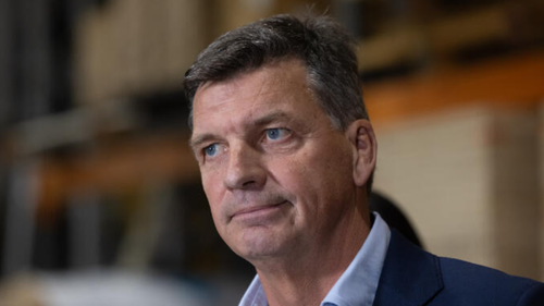 Il leader dell'opposizione Angus Taylor.