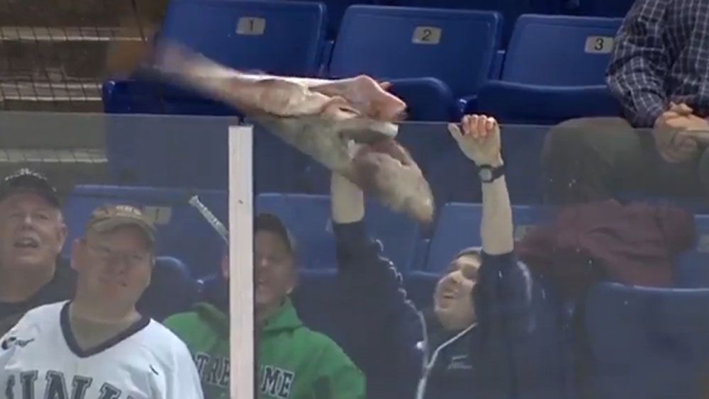 College ice hockey fan fails at fishy tradition