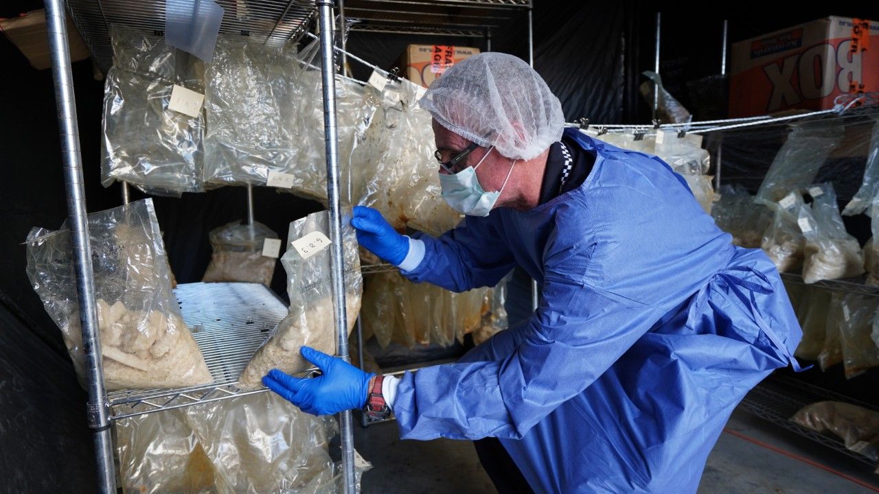 QLD news Drug bust Queensland 766kg of highest purity MDMA seized in