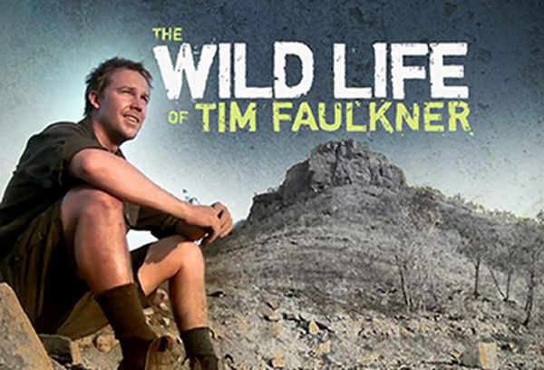 The Wild Life of Tim Faulkner
