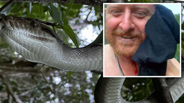 Terrifying moment huge black snake slithers its way up through toilet