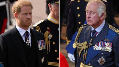 Prince Harry King Charles III British Royals