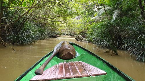 A boat journeys towards Liang Tebo cave in East Kalimantan.
