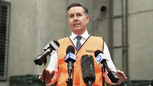 Minister for Health and Aged Care Mark Butler during a press conference