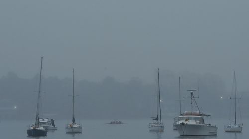 Despite showers of rain a rowing crew during training passes moored boats in Iron Cove near Lilyfield, NSW. 