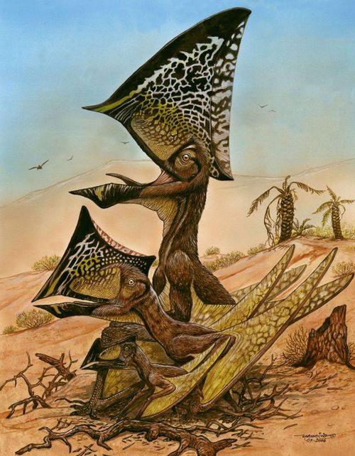 Stash of buried bones in Brazil reveals new species of flying dinosaur