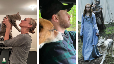 Stars Who Adopted Pets from Sets: Chris Evans, Sarah Jessica Parker