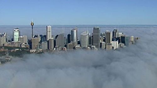 The city's skyscrapers shrouded in fog. (9NEWS)