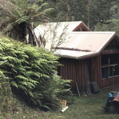 Strike it rich in this $285,000 home in Victoria's alpine forest