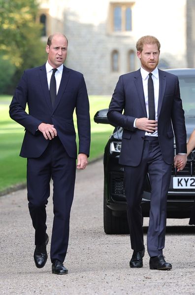 Prince Harry and Prince William