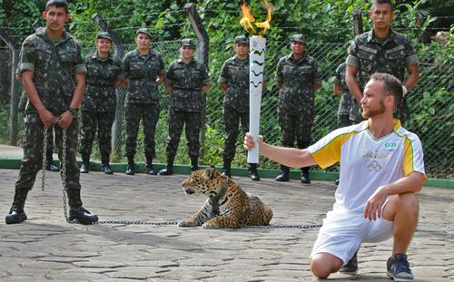 The jaguar shortly before it was shot, (AFP)