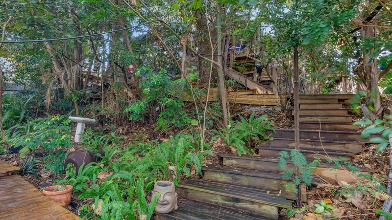 Quirky treehouse for sale in Queensland is concealed by lush greenery