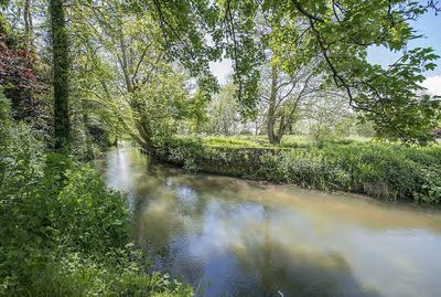 Property is 19 acres in total, located “in an idyllic situation
alongside the River Rother, with views over the river, weir and water meadows.”