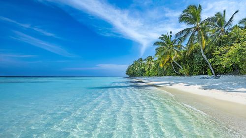 The Maldives