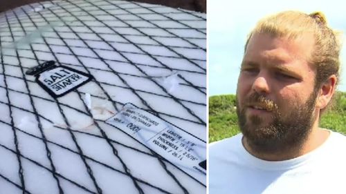 Surfer Tom van Beem said the shark left teeth marks in the woman's board. (9NEWS)