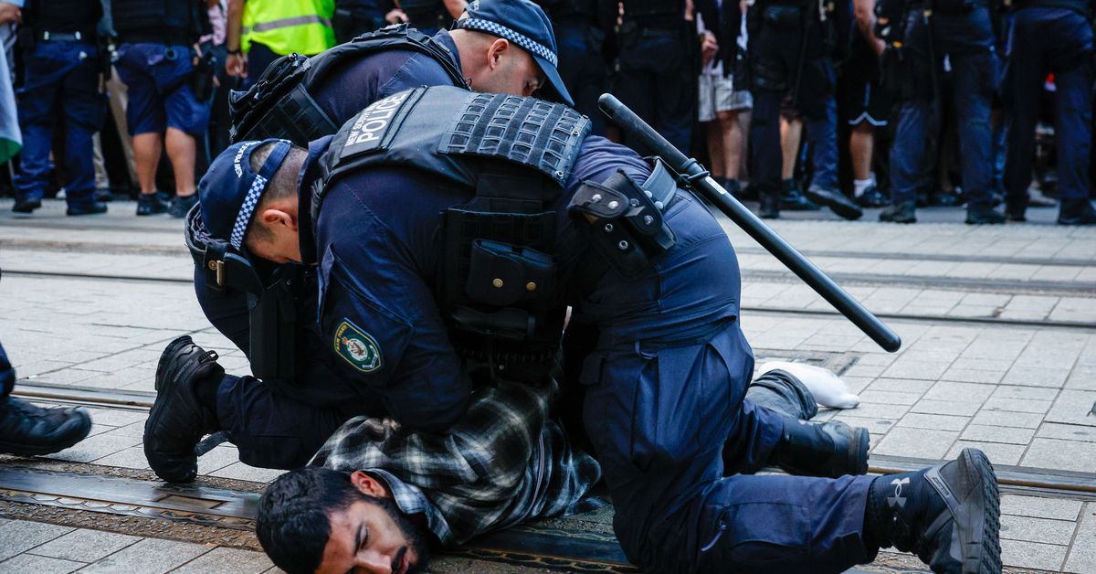 Growing push for scrutiny of Sydney police after protest as lawyers offer free help
