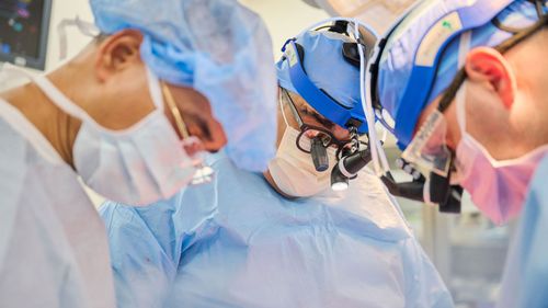 Nader Moazami (centre) leads a surgical team as a genetically modified pig heart is transplanted into a recently deceased donor.