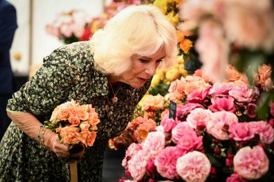 Queen Camilla looks at a flower display during a visit to Sandringham Flower Show at Sandringham House on July 26, 2023 in King's Lynn, England. 