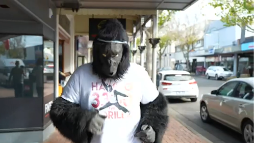 Hammo the gorilla lifting spirits in regional Victoria during lockdown 4.0