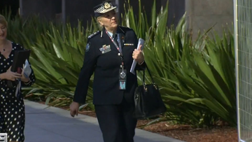 Police commissioner Katarina Carroll speaks at the inquiry into police handling of domestic violence.