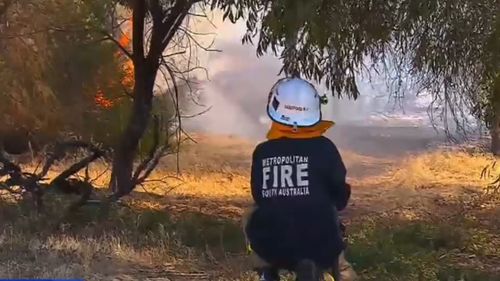 Police say the blaze may have been deliberately lit. (9NEWS)