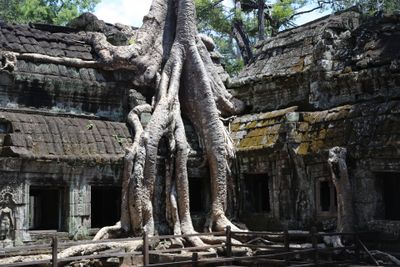 Angkor Wat &#x2013; &lsquo;Capital Temple&rsquo; &#x2013; is a temple complex
and largest religious moment in the world.&#160;&#160;