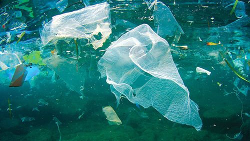 The bags are having a dire impact on the environment. Picture: Supplied