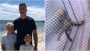 Aaron Pix had not one but two blue-ringed-octopus hiding in his pocket at a WA beach.