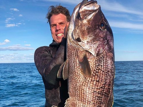 Steven Mattaboni, pai de dois filhos, morreu em um ataque de tubarão enquanto praticava caça submarina perto da Ilha Rottnest na manhã de sábado.
