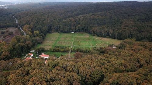 One of the vehicles traveled to the nearby Belgrade Forest while the other traveled to the city of Yalova, across the Sea of Marmara from Istanbul, the official said, speaking on condition of anonymity due to the secrecy of the ongoing investigation.