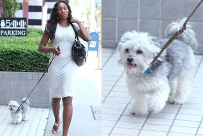 Venus dresses to match her mate, a tiny dog called Bambie. We wonder if he's any use on the tennis court -did someone say fetch ball?
