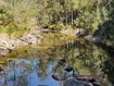 The woman was water tubing at Emu Creek when she fell into the water. A search is continuing today after she failed to resurface.