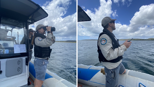 Rangers are searching the waters following reports of a crocodile at Minjerribah.