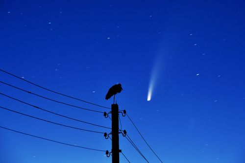 Comet Neowise.