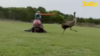 Texas emu pool noodle lawn mower attack