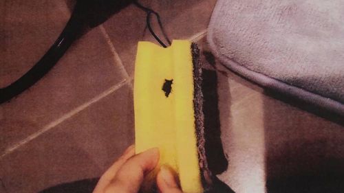 Auliputra used a household sponge to conceal a camera used to record his female housemates without their knowing. Picture: Supplied.