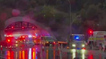 Adelaide freeway crash brings traffic to a standstill