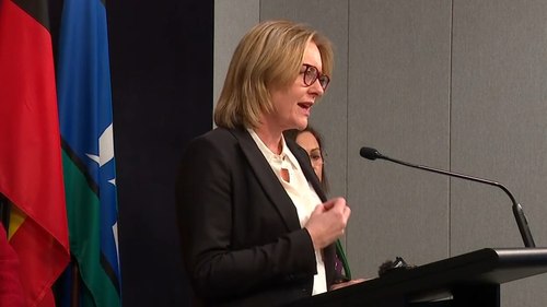 Allan has committed to implementing all of the recommendations, ensuring a $42 million funding boost to assist the shake-up.