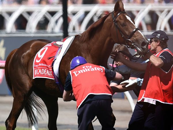 Red Cadeaux doing well after surgery