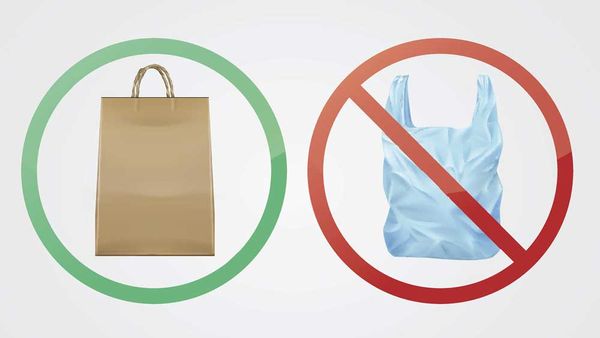 Plastic bag ban