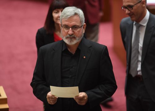 Former Australian Democrats senator Andrew Bartlett has replaced Canadian-born Larissa Water for the Greens (Image: AAP)