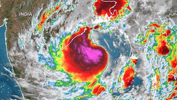 Cyclone 9news Latest News And Headlines From Australia And The World